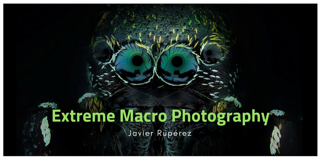 Extreme Macro Photography - Javier Ruperez